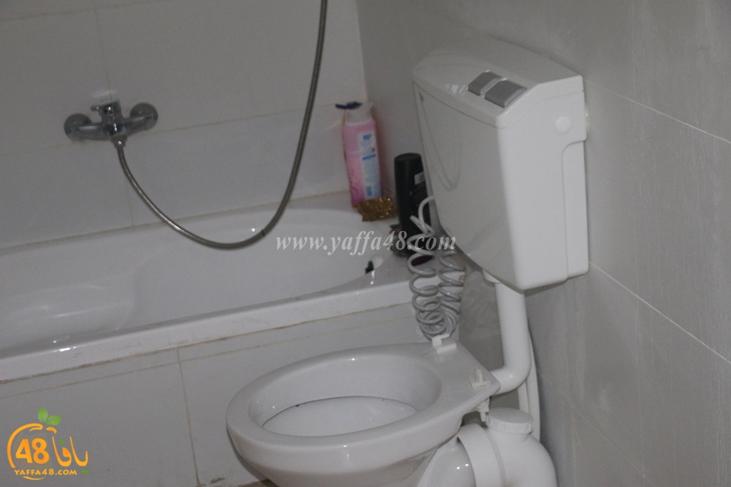 tarmeem botyiyu (6).JPG